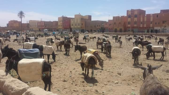 Maison Bedouin Merzouga Hotel Exterior photo